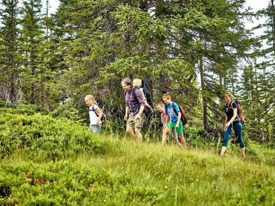 familienwandern salzburger land wanderhotel