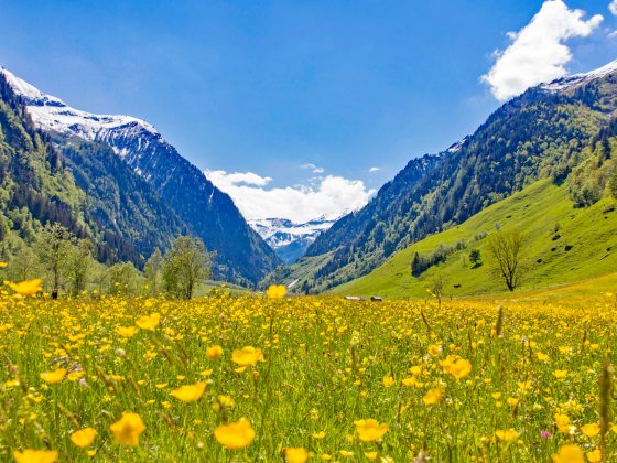 rauris fruehling fruehsommer salzburger land 2