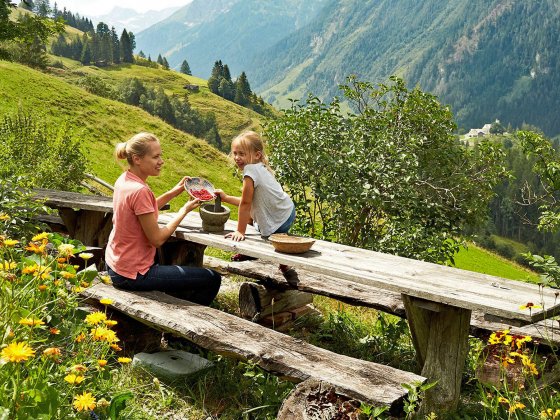 rauris sommer salzburger land wandern hause