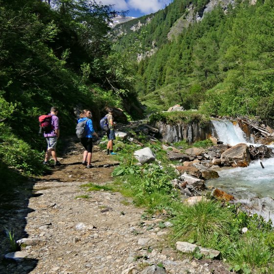 rauris sommer wandern familie bach