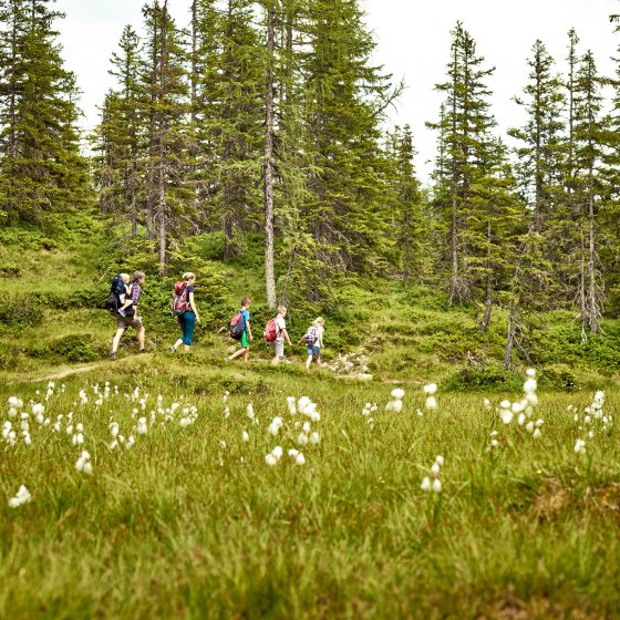 rauris sommer wandern familie wald