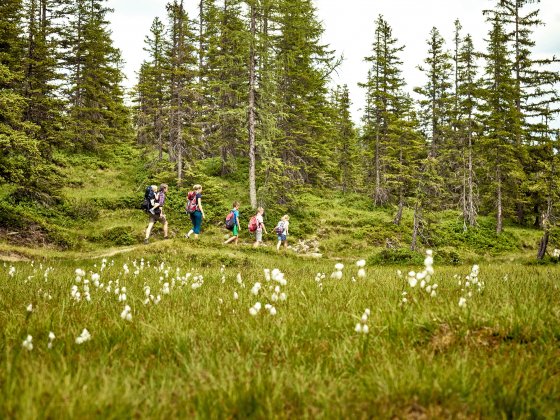 rauris sommer wandern familie wald