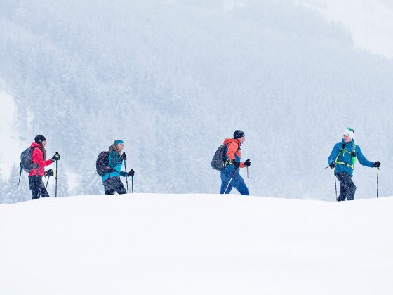 rauris winter schneeschuhwandern gruppe