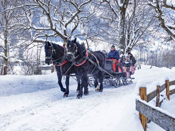 rauris winterurlaub salzburger land pferdeschlitten