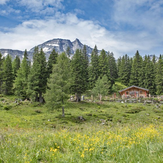 wanderhotel oesterreich almwandern rauris