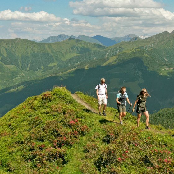 wanderurlaub rauriserhof salzburger land