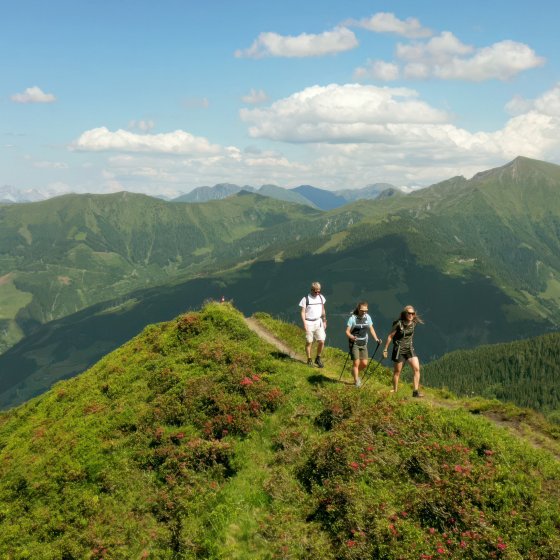 wanderurlaub rauriserhof salzburgerland 1771273094