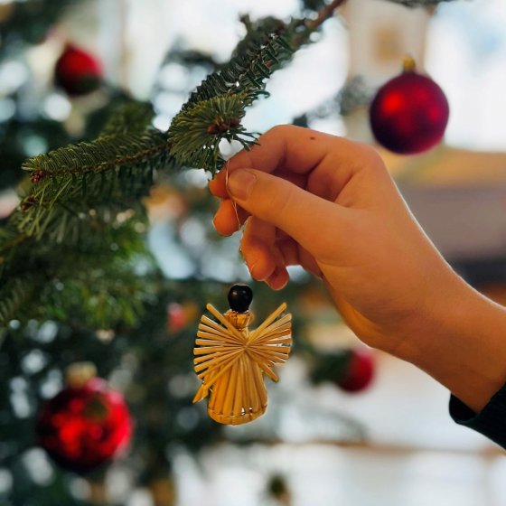 rauriserhof weihnachten christbaum 1750588508