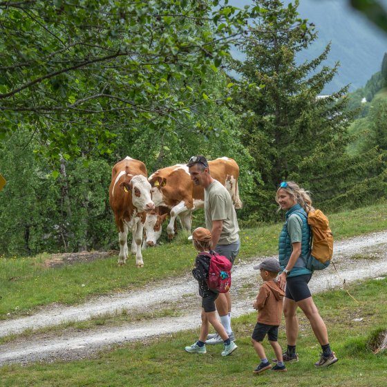 wanderurlaub mit kinder rauriserhof